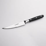 Chef 304 Stainless Steel Steak Fork And Knife Set American Acrylic Handle