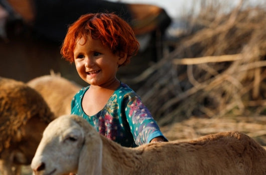 BAKRA EID / EID UL AZHA RECIPIES BY CHEF COOKWARE