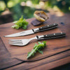 Chef 304 Stainless Steel Steak Fork And Knife Set American Acrylic Handle