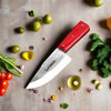 Best Stainless Steel Skinner Knife - Qurbani knife 4.5inch