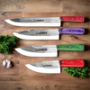 4 Pcs Best Stainless Steel Knife Set / Qurbani Knives Set / Skinner / Meat Knife / Takbeer Knife